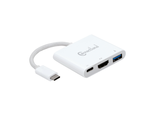 ADAPTATEUR USB TYPE-C VERS HDMI, USB v3.0 TYPE-A, USB TYPE-C