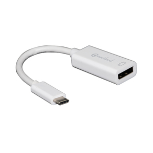 ADAPTATEUR USB TYPE-C  VERS DISPLAYPORT