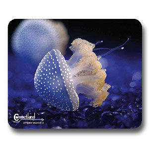 TAPIS SOURIS MER+MEDUSE